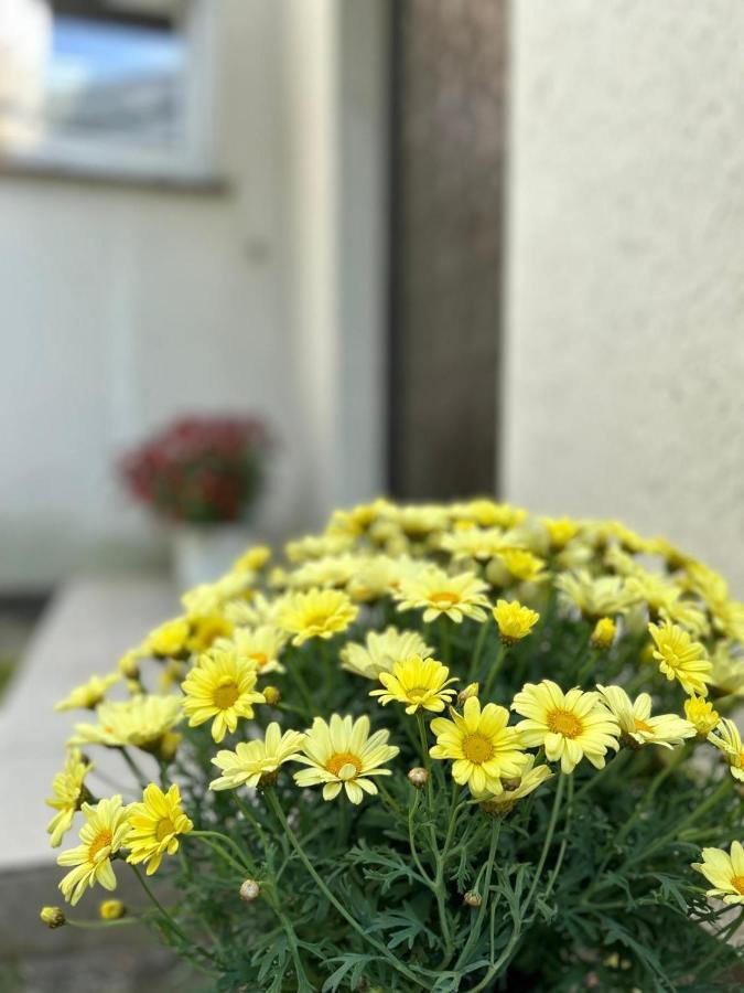 Appartamento Gemuetliches Familienhaus - Fuehlt Euch Wohl Oldenburg
